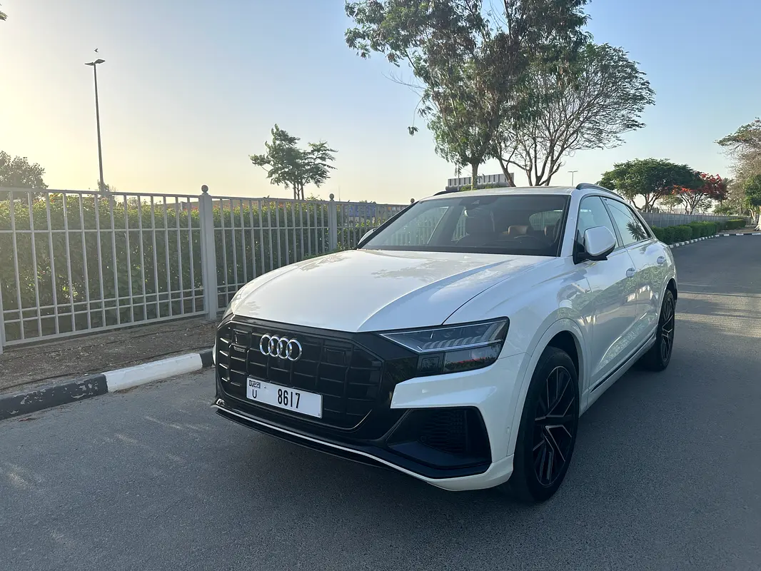 Audi Q8 2019 — photo 1 of 17