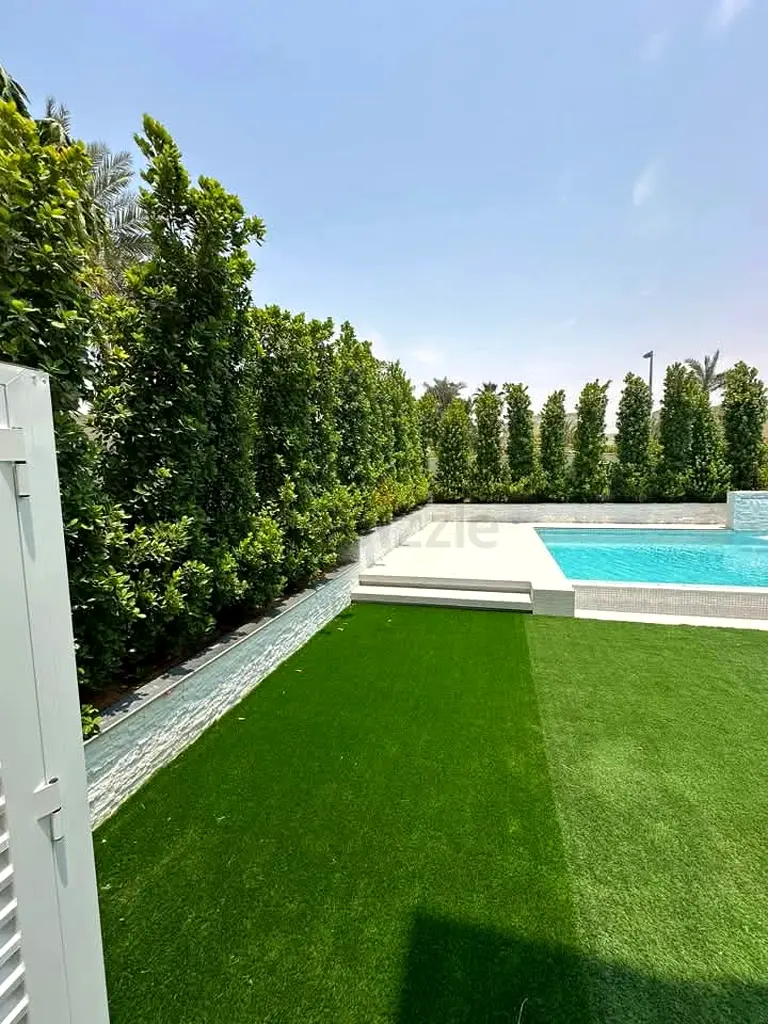 DPV_View_Image_4