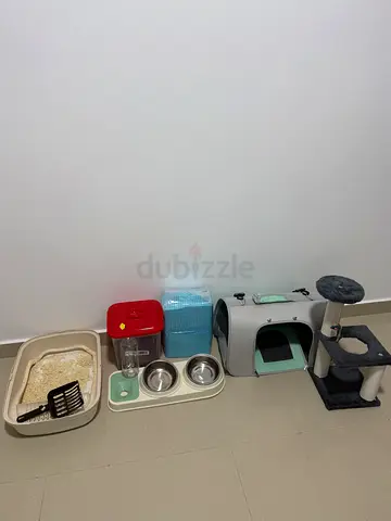Kitten starter set