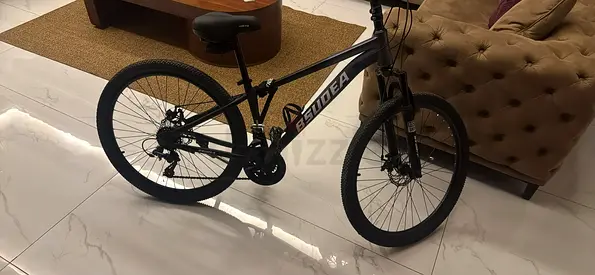 Mountain bike