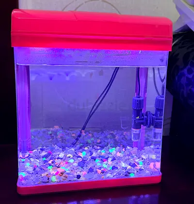 Small fish aquarium with heater and light,