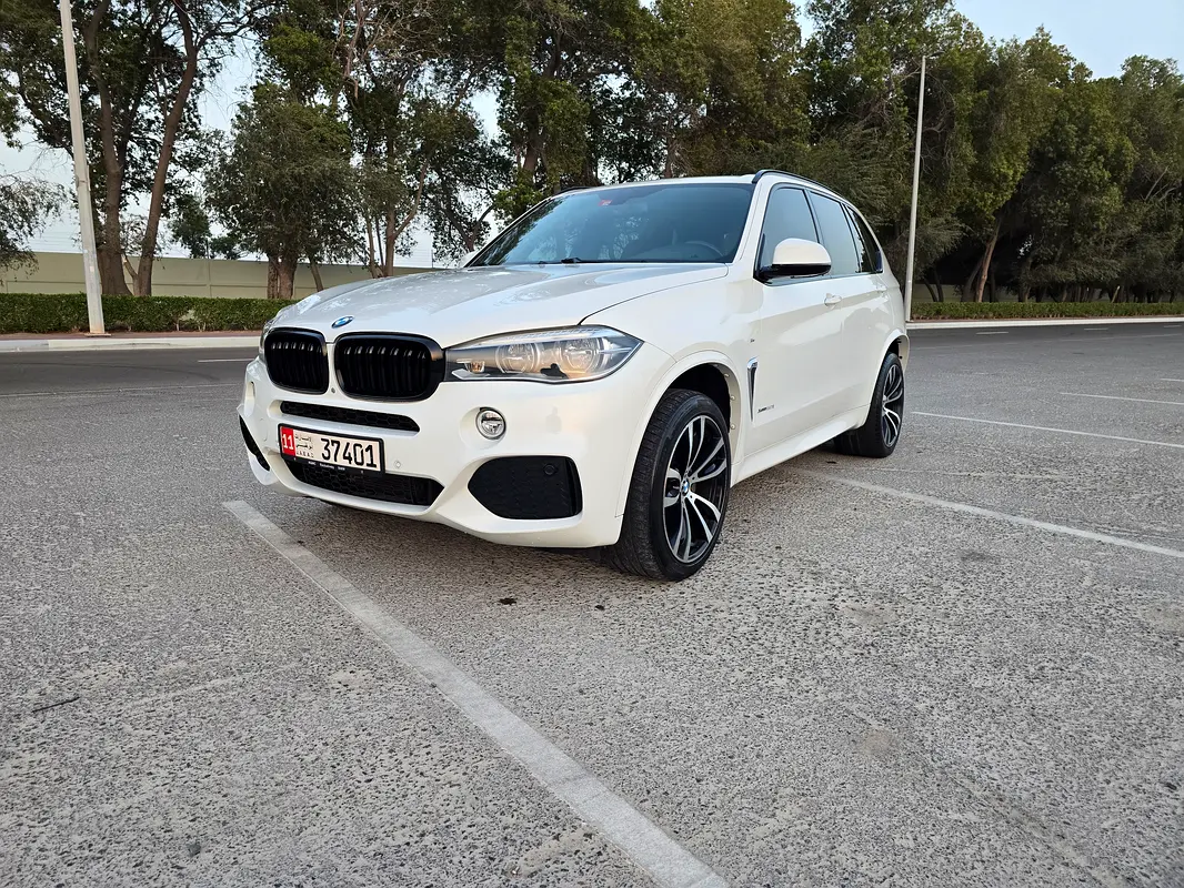 BMW X5 2014 — photo 1 of 18