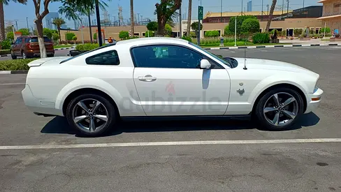 Ford Mustang 2009 45th Anniversary