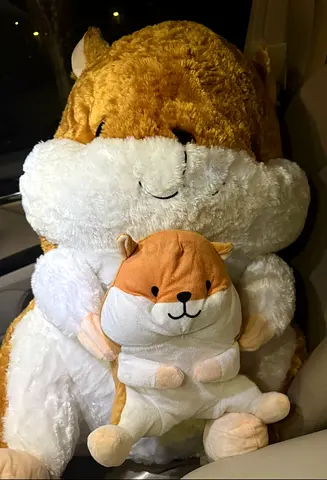 Large and Small Hamster Plush Toy - Set of 2, Excellent Never used, wrapped in plastic