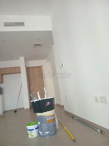 Home panting services