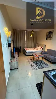 Lavish fully furnish Studio near safia park