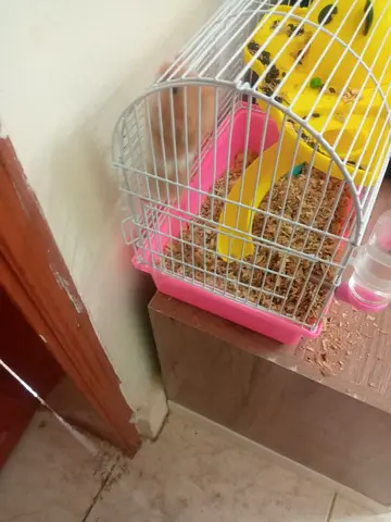 Hamster cage with accessories