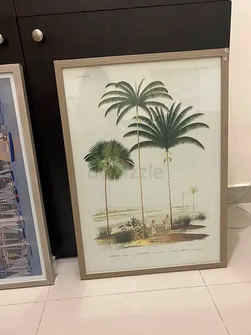 Picture frames