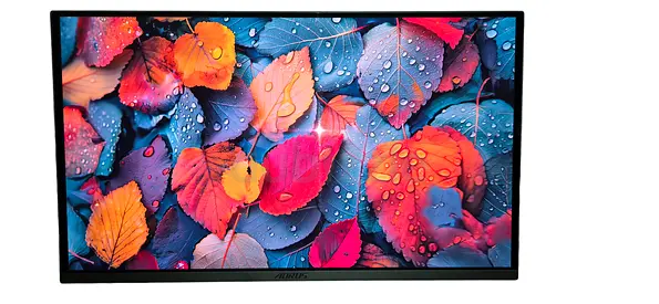 GIGABYTE - AORUS FO27Q3-27 QD OLED Gaming Monitor - QHD 2560x1440-360Hz - 0.03ms GTG - AMD FreeSync