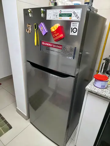 LG 2-Door Refrigerator in Silver — Good Condition, 10-Year Compressor Warranty