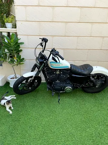 2019 Harley-Davidson sportster iron 1200