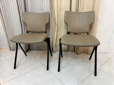 Modernfrom genuine leather Arm chairs SERIES tw