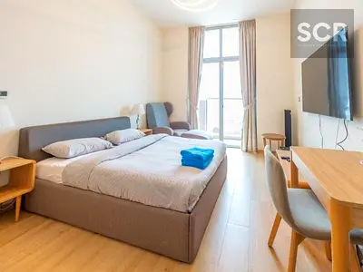 Fully Furnished | Chiller Free | SZR View | Open View