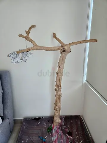 Parrots stand fir sale