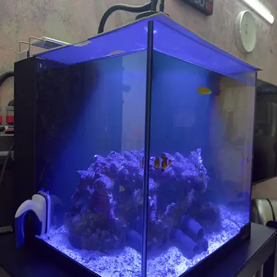 Used Marine Nano Aquarium Tank with Live Rock and LED Lighting