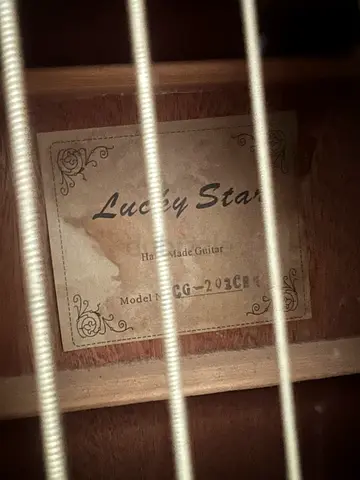 semi acoustic Guitar