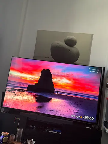 Sony Bravia 75” TV