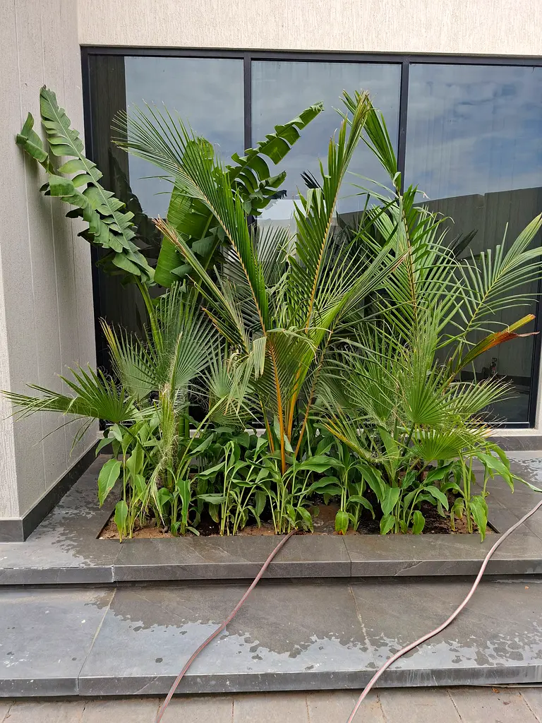 DPV_View_Image_3
