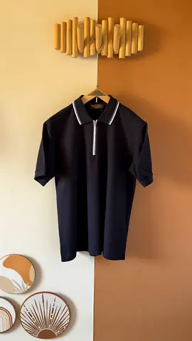 Loro piana polo T-shirt for men