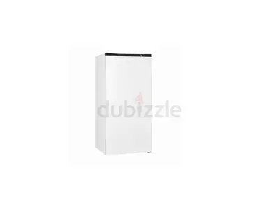 Exquisit Upright Freezer 145L 4-Star Freezing Low Frost Reversible Door