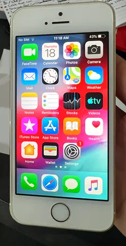 iPhone 5s 16GB Gold + USB Lightning charger wire only