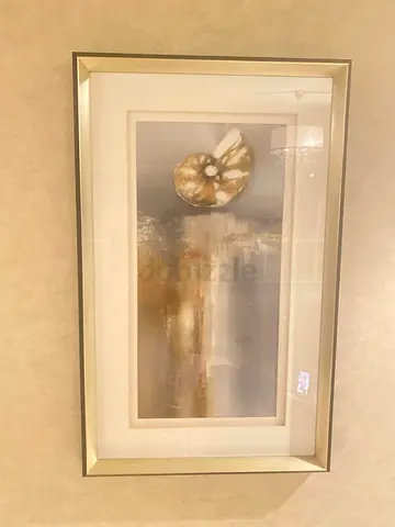 Framed Abstract Nautilus Wall Art - Gold  Grey