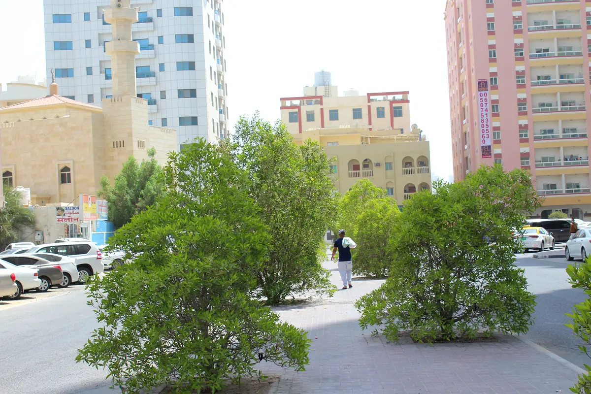 gallery-image
