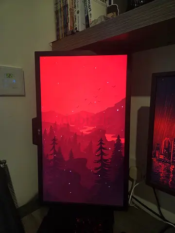 LG 24GM79G 144Hz 1920×1080 24 inch Monitor