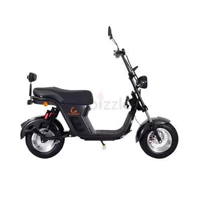 Kugoo Super Electric Scooter