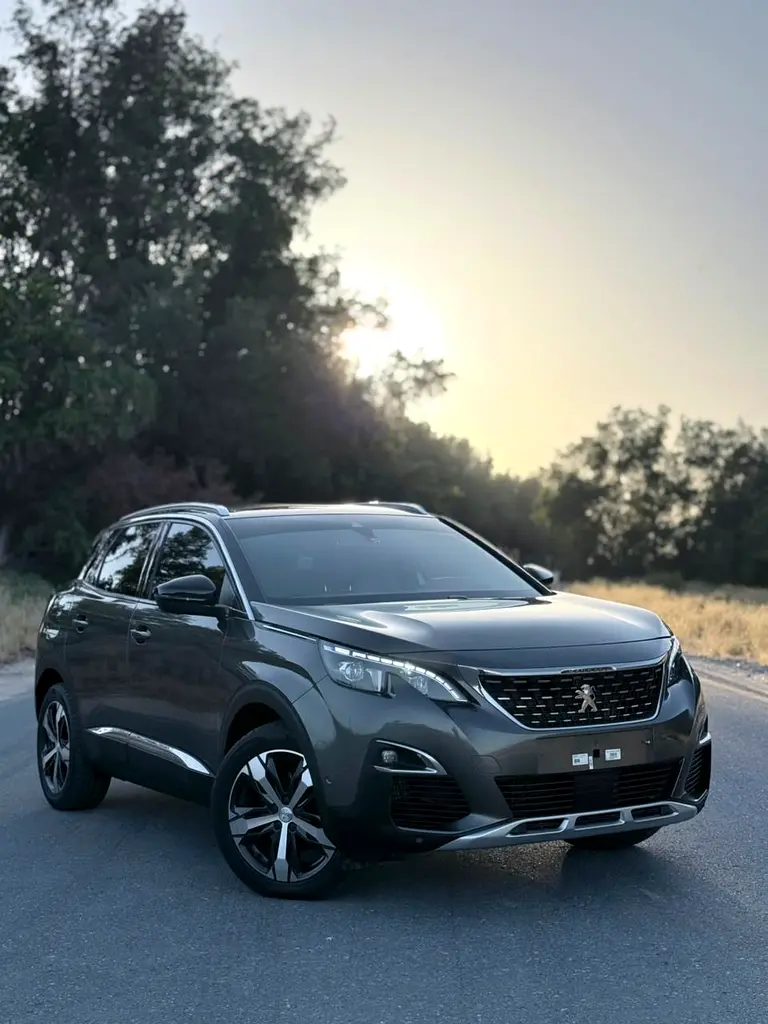 Peugeot 3008 2019 — photo 1 of 18