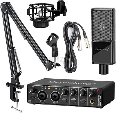 Depusheng RX2 USB Computer Recording Kit with Audio Interface