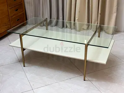 West Elm mid century art display coffee table