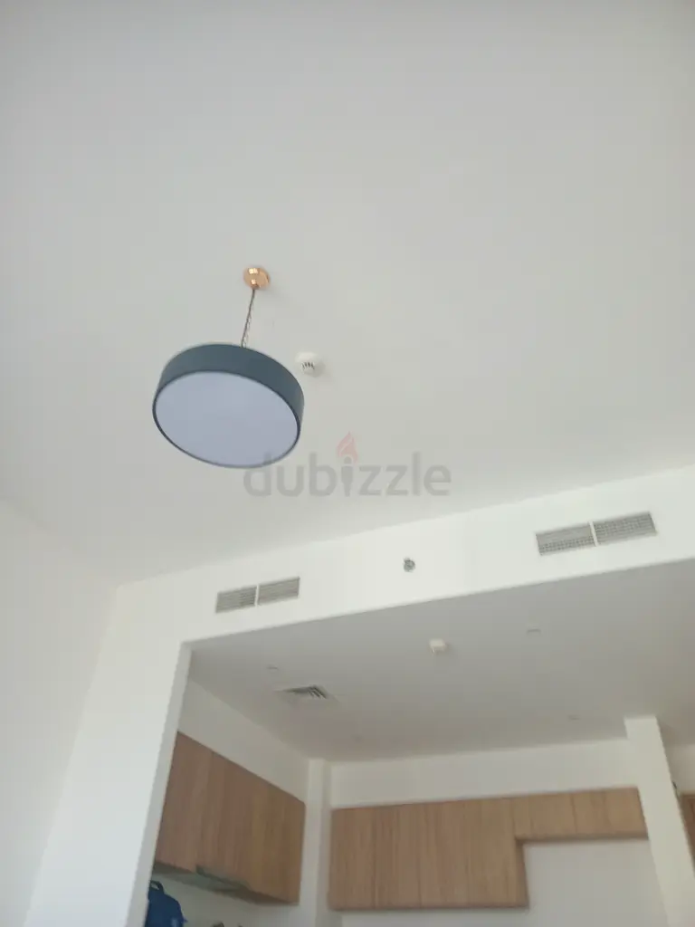 DPV_View_Image_1