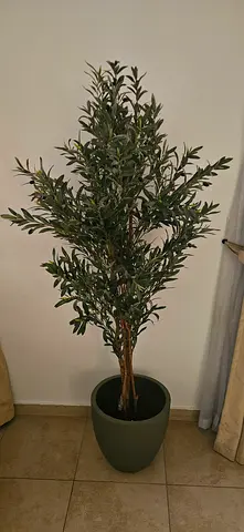 Artificial Olive Tree with ceramic pot