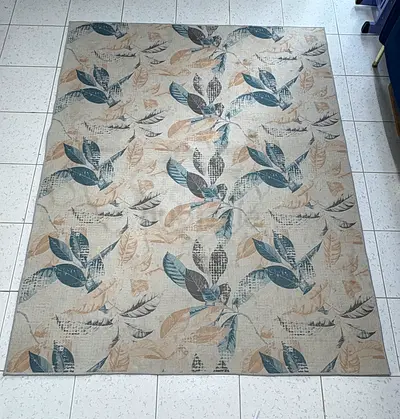 Beige Leaf Pattern Area Rug - Good Condition (Home box)
