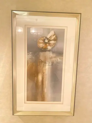 Framed Nautilus Shell Wall Art - Gold  Neutral Tones