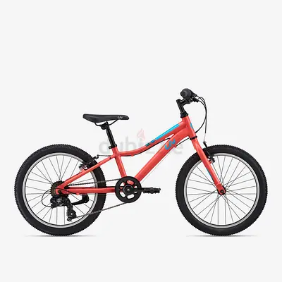 kids 20 mountain bike - lightweight frame, 6-speed. Needs maintenance