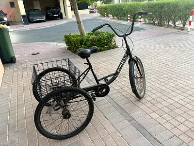 Adult 3-Wheel Cargo Tricycle with Rear Basket - Good Condition