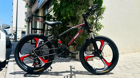 Pigatu alloy wheel 22 bicycle
