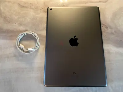 iPad 9th Generation 256 GB Grey