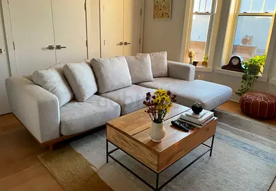 West elm Newport feather 🪶 filled L Shape Sofa