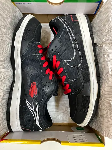 Nike SB Dunk Wasted Youth