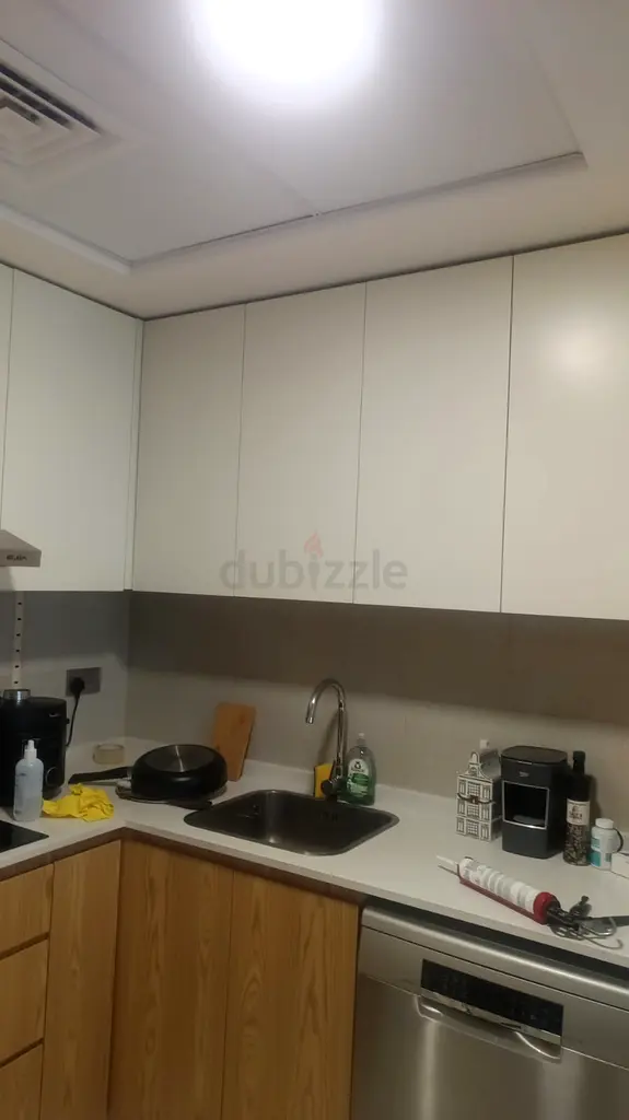 DPV_View_Image_2