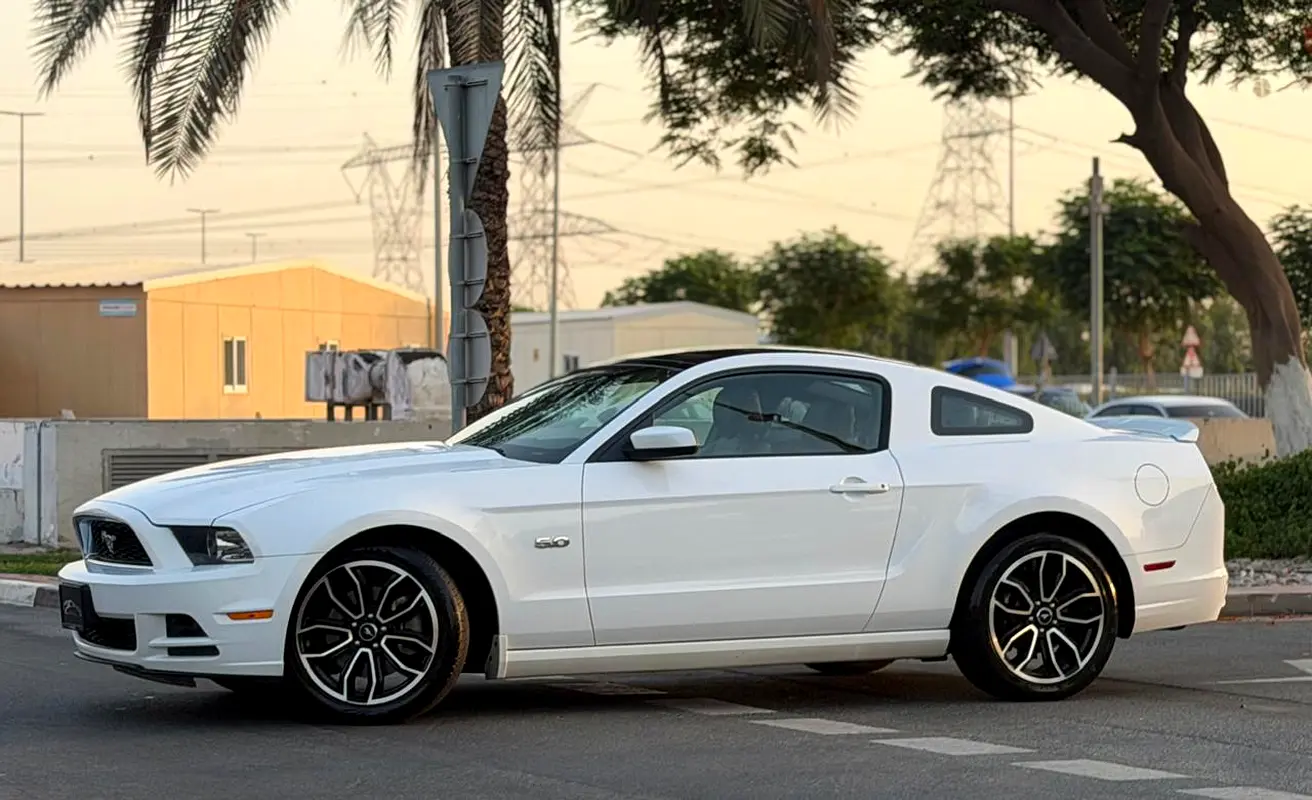 Ford Mustang 2014 — photo 1 of 20