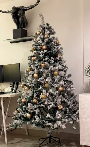 Christmas tree + decorations