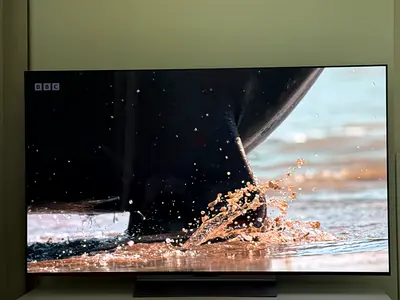 LG OLED Evo TV C2 Series, 55”, 4K (HDR), Dolby Atmos - Excellent Picture