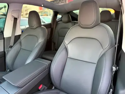 2026 Tesla MODEL Y 照片 7
