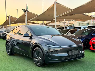 2026 Tesla MODEL Y 照片 2