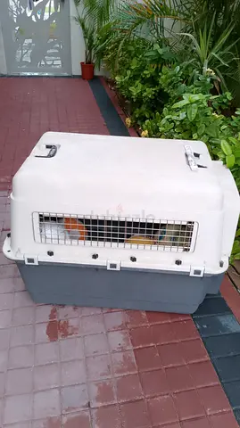 Pet Travel Carrier