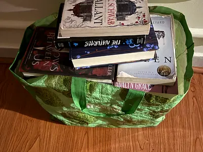 25 English YA  Fantasy Books – Like New – 250 AED
